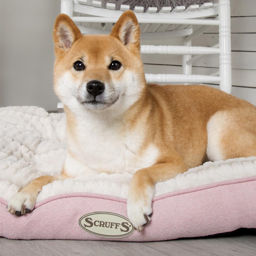 Puppy mattress deals