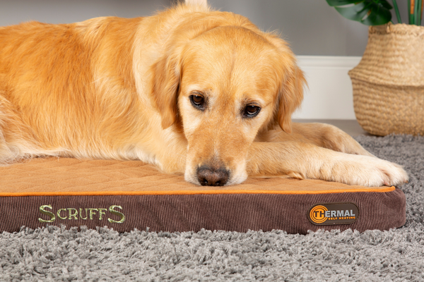 Thermal Pet Mattress - Brown & Tan