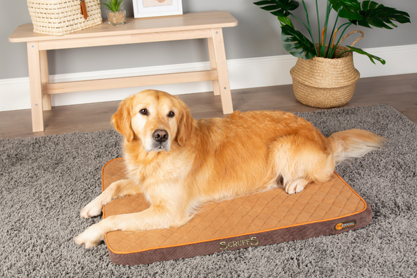 Thermal Pet Mattress - Brown & Tan