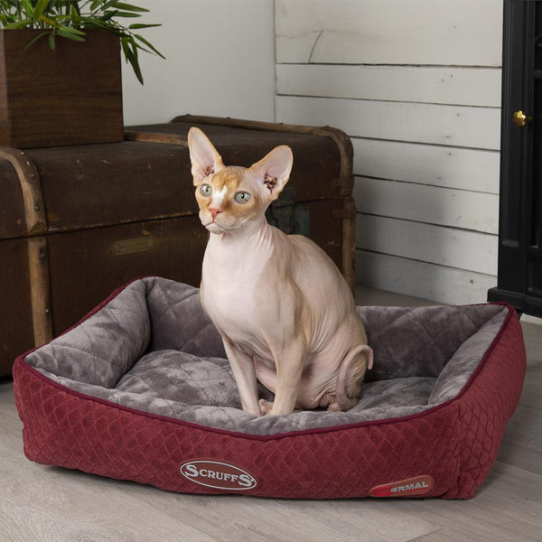 Thermal Lounger Cat Bed - Burgundy Cat Bed Scruffs® 