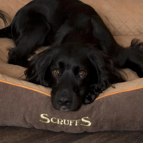 Thermal Box Bed - Brown